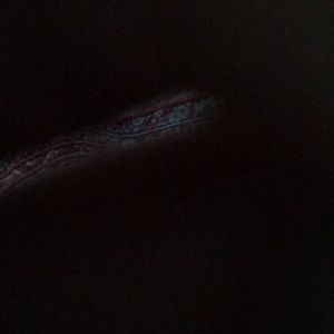 Meet your Posher, Emmy